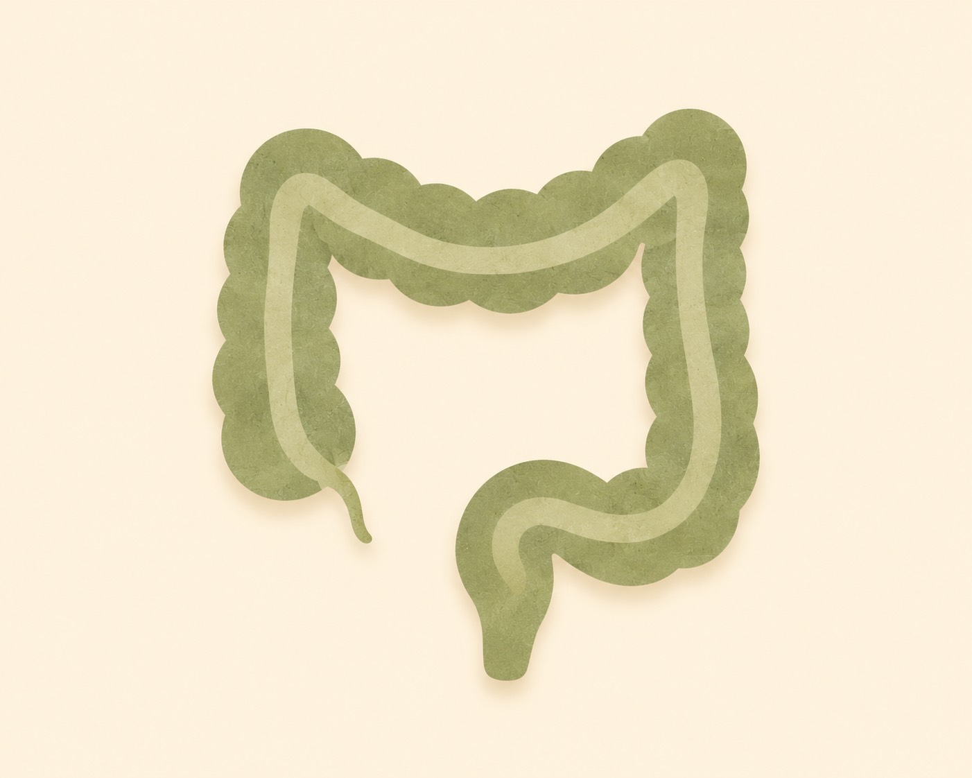 Colon illustration